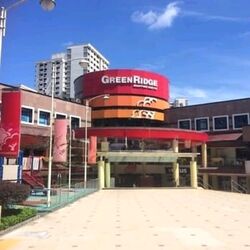 Blk 521 Pangshan Valley (Bukit Panjang), HDB 4 Rooms #569209641